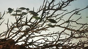 Feeling out some different lighting moods on this new hardscape layout here inside TheAquariumDesignStore. | Aquarium Design Group