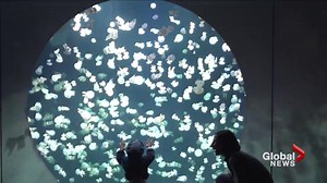 Spring Break 2018 camps in Metro Vancouver