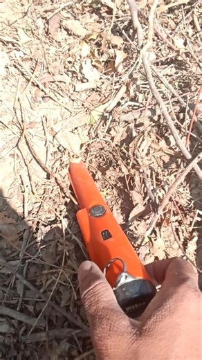 I found rare coin using pinpointer metal detector #pinpointermetaldetecor #metaldetecting #shorts