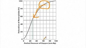 Physiology Philes - HB-O2 dissociation curve