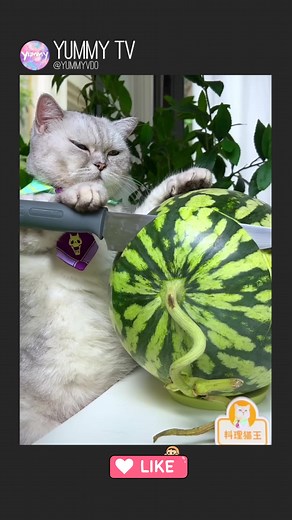 11K views · 986 reactions | chef Meow mix fruits hotpot  | Yummy TV | Facebook