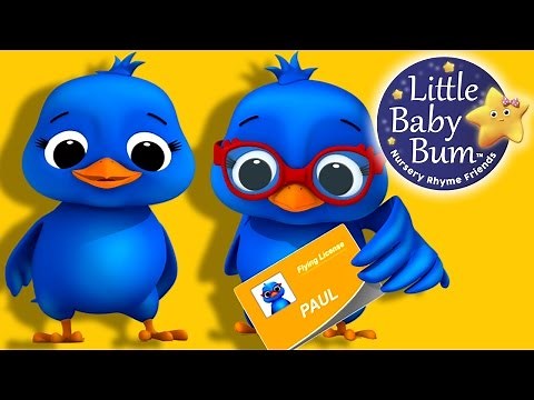 Two Little Dicky Birds | Nursery Rhymes for Babies by LittleBabyBum - ABCs and 123s