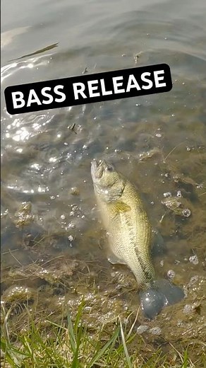 BASS RELEASE! Fishing with my girlfriend!