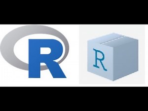 Why and How to Include a Vignette in Your R Package