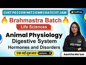 Animal Physiology | Life Sciences | CUET PG | CSIR NET | GATE | IIT JAM | VedPrep Biology Academy