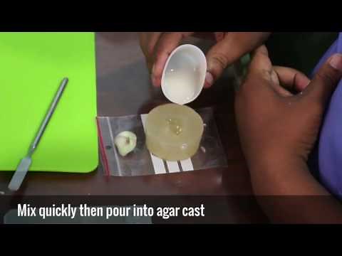 How to make Earmolds
