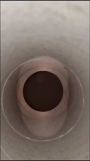 The Last Pringle POV Experience