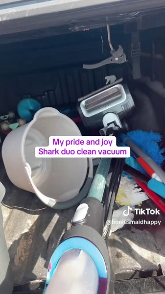 Essential Cleaning Supplies for Professional Cleaners