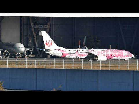 FHD] Japan Transocean Air (Sakura Jinbei Livery)
