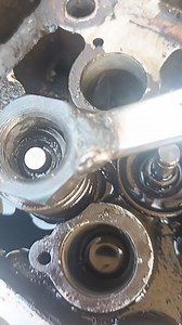 Se puede compartir algo así? | Eduardo Mendoza