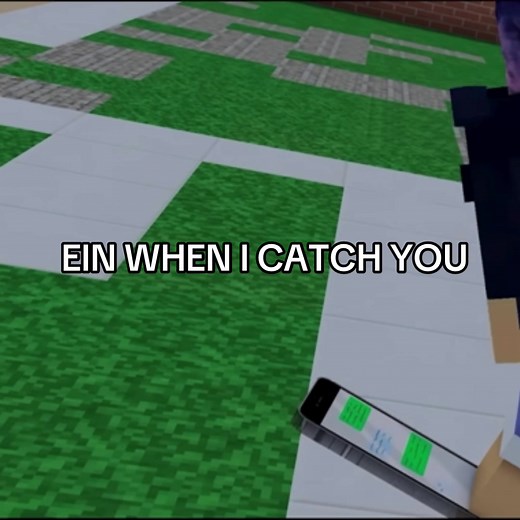 EIN WHEN I CATCH YOU: Aphmau's Minecraft Roleplay