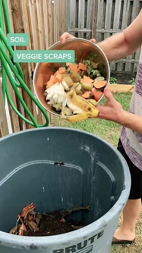 DIY Compost Bin: A Step-by-Step Guide to Creating Your Own Organic Compost System