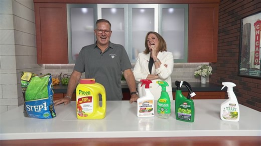 Mr. Fix It with tips for tackling weeds