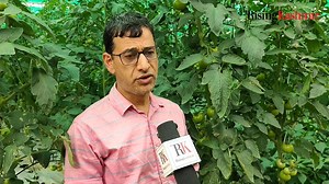 Watch: Two young brothers from Pulwama district are earning a good income from vegetable farming under the Holistic Agriculture Development Programme, supported by the Agriculture Department, Pulwama. Report Mir Zeeshan | The Rising Kashmir