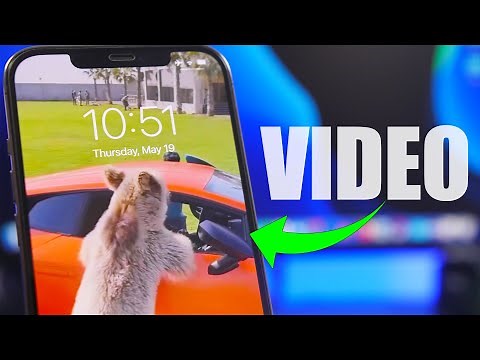 How to Set VIDEO as Lock Screen Wallpaper on iPhone (FREE & EASY)