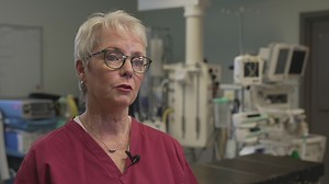 Govt: Any resolution to Ukraine war is welcome