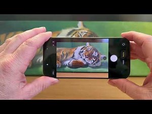 Learn Everything About Apple's Camera Control Button in Just 5 MINUTES!!