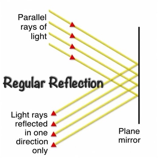Regular Reflection #light #smooth #surface #physics #mirror