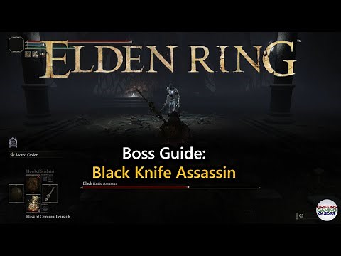 Black Knife Assassin boss fight | Elden Ring