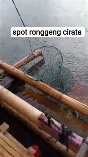 Hasil mancing spot rongeng cirata #mancing #fishing #fishingvideo