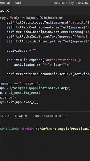 Consuming REST APIs with Python (RUC Query) - #shorts
