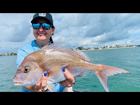 Redcliffe Snapper fishing with SEQ Sportfishing Estuary Charters