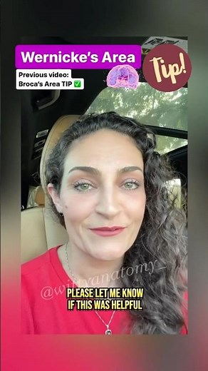 🧠Wernicke’s area | By an Anatomy Professor