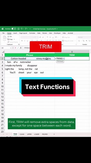 Text functions to clean up data #excel #workhacks #25daysofspreadsheets