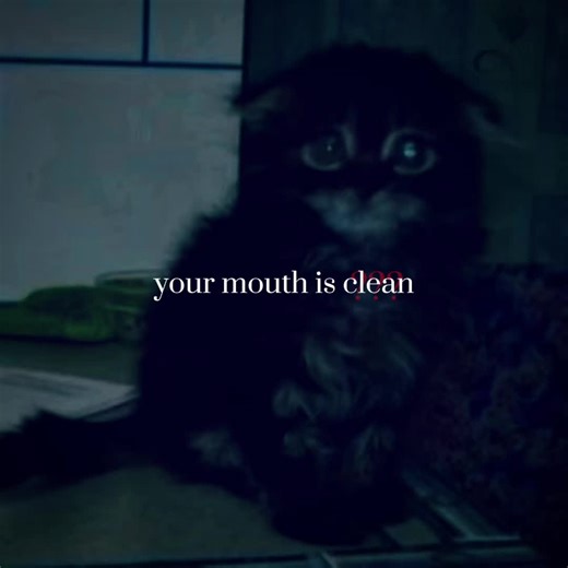 Understanding Memory Loss and Mental Health