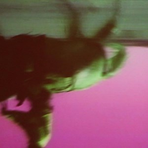 🐎 Celebrate the final weekend of "Bruce Nauman: Disappearing Acts" at MoMA PS1 on Friday, February 22. The galleries will be open until midnight with artists offering personal responses to Nauman's work throughout the exhibition, plus DJ sets in the VW Dome, screenings of the documentary "The Bruce Nauman Story," cocktails, and bites. Tickets available at mo.ma/natm … [Artwork: Excerpt from #BruceNauman. "Green Horses." 1988. Video installation with two color video monitors, two DVD players, vi