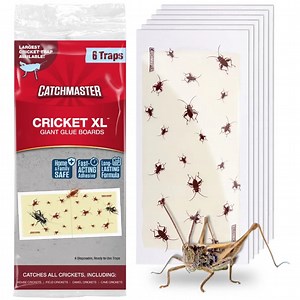 Cricket XL Giant Glue Board Traps