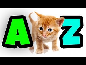 ABCDEFGHIJK SONG FOR KIDS & abcdefghijk children song WITH Alfabete Song