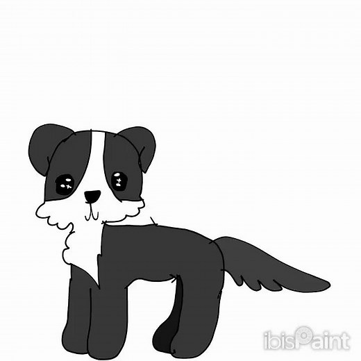 Border collie drawing