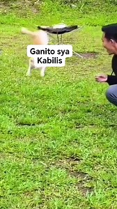 Humiwalay ang kaluluwa sa katawan | Nhov Villacrusis