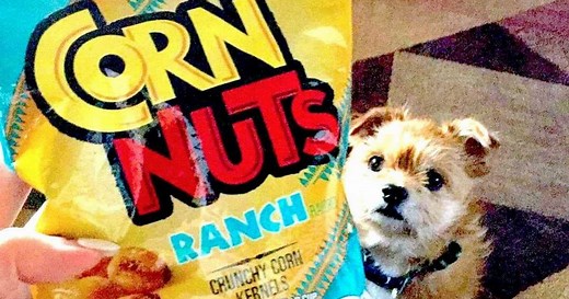 A Definitive Ranking of Every Corn Nuts Flavor