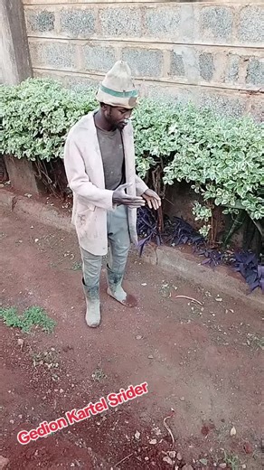 Learn the Jamaican Dance Moves Everyone Loves