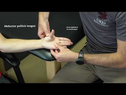 Manual Muscle Test for Thumb Abduction