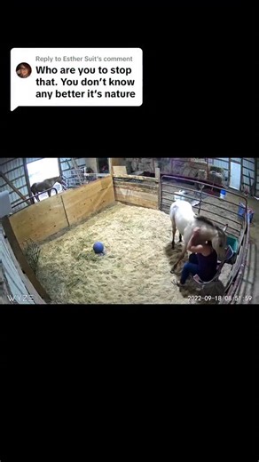 Whirlwind Ranch on Instagram: "Some history on Taz 💛"