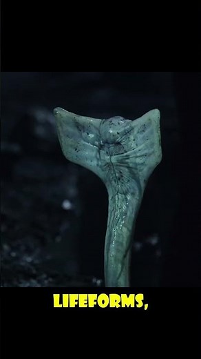 Why did David’s Protomorph and Neomorph seem more dangerous than the Xenomorph in Aliens? #shorts