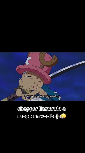 Chopper's Emotional Call to Usopp in Water7 | One Piece Moments