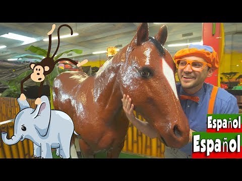 Blippi Español Los Animales de la Selva en este Video Infantil | Videos Educativos para Niños