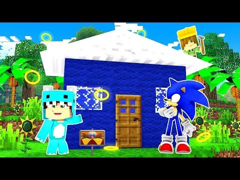 ¿PODRÍAS HACER una CASA para SONIC en 1 MINUTO 😅 BEBE MILO CONSTRUYE JUNTO a VITA en MINECRAFT