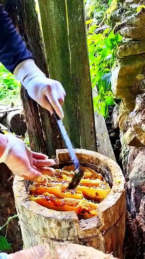 Expert Techniques for Extracting Honey from Beehives