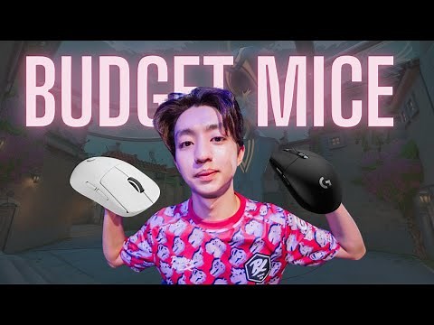 Top 5 BEST BUDGET MICE for Valorant (2026)