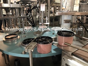 [Hot Item] Factory Price Rotary Ice Cream Cup Filling Sealing Machine