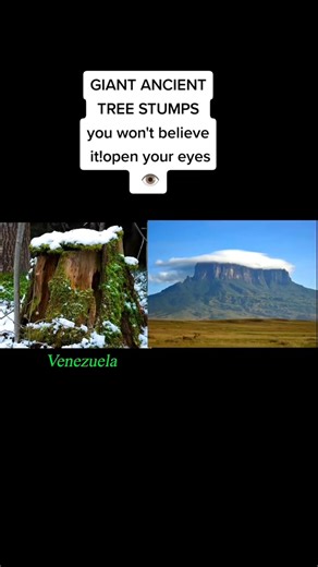 6.9K views · 201 reactions | Flat Earth Claims Explained in 30 Seconds | Amin | Facebook