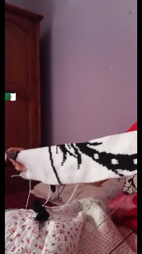 Odal.crochet sur TikTok