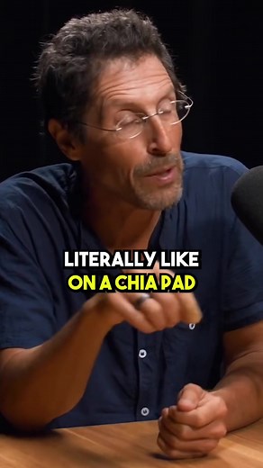 The power of #chiaseeds. #chiaseed #sprouttok #sprouting #sprouts #vegan #vegantiktok #vegantok #healthyliving #healthandwellness #richroll #richrollpodcast #healer #healersoftiktok #organic #nongmo #fyp #foryou