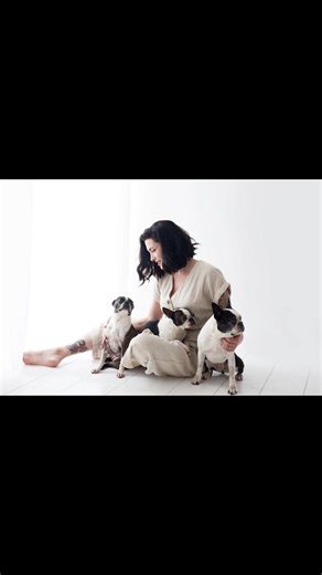 Discovering My First Boston Terriers: A Heartfelt Journey