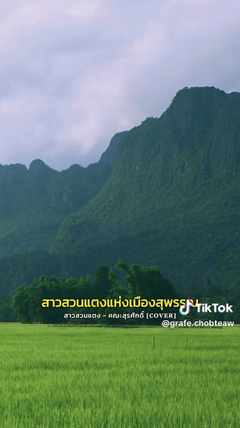 สาวสวนแตง - คณะสุรศักดิ์ [COVER] #สาวสวนแตง #คณะสุรศักดิ์ #เพลงฮิตtiktok #เพลงดังในtiktok #เพลงลงสตอรี่ #tiktokเพลงเพราะ